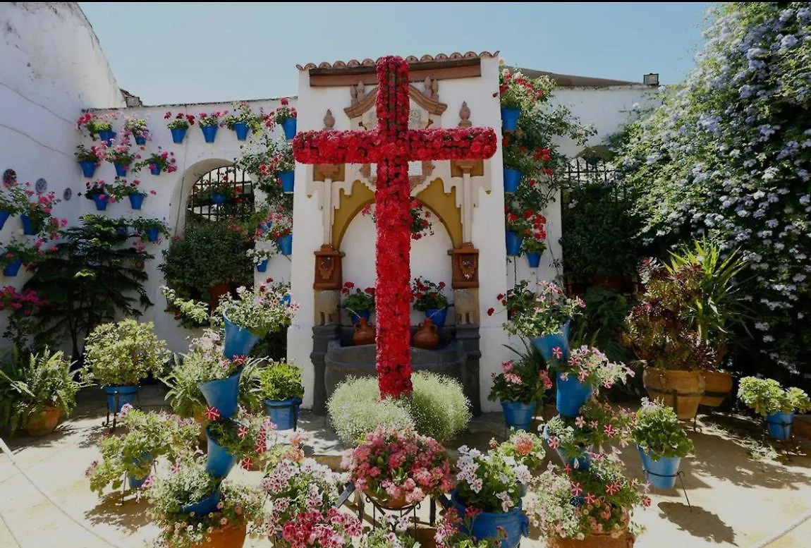 Arenal Confort Cordova Appartamento